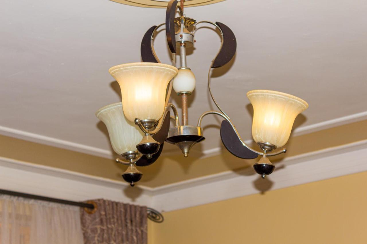 Acacia Luxurious *